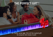 Load image into Gallery viewer, Magnavox MMA4020 Portable Speaker